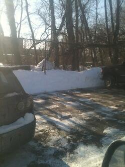 EGD Snow with fence and what not to do